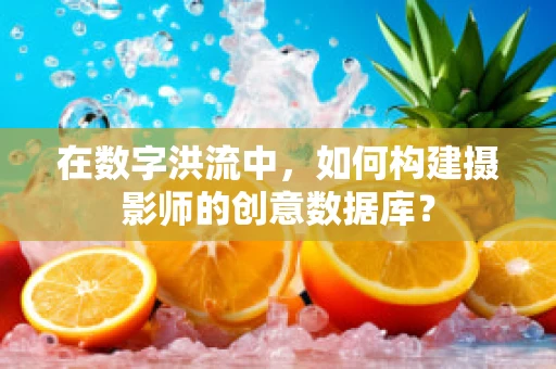 在数字洪流中，如何构建摄影师的创意数据库？