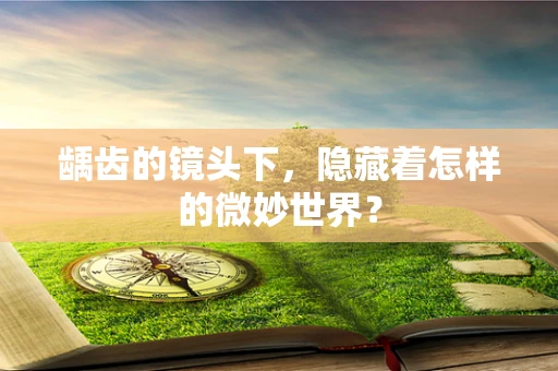 龋齿的镜头下，隐藏着怎样的微妙世界？