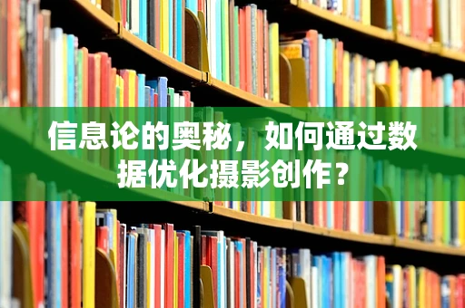 信息论的奥秘，如何通过数据优化摄影创作？