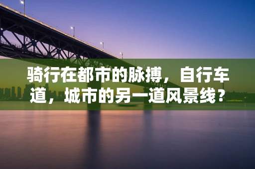 骑行在都市的脉搏，自行车道，城市的另一道风景线？