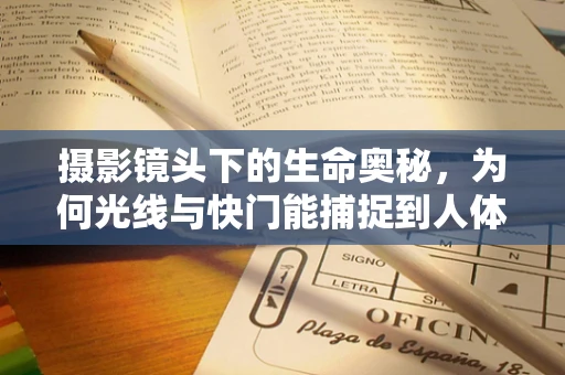 摄影镜头下的生命奥秘，为何光线与快门能捕捉到人体生理反应的瞬间？