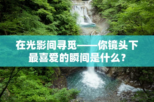 在光影间寻觅——你镜头下最喜爱的瞬间是什么？