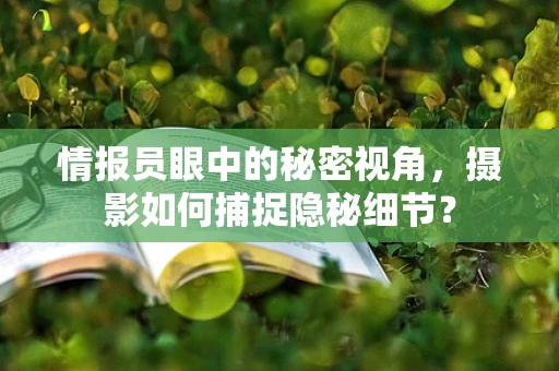 情报员眼中的秘密视角，摄影如何捕捉隐秘细节？