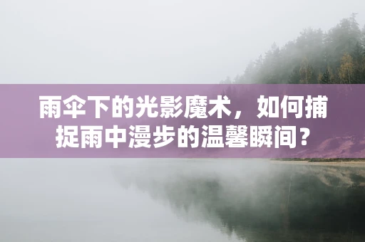 雨伞下的光影魔术，如何捕捉雨中漫步的温馨瞬间？