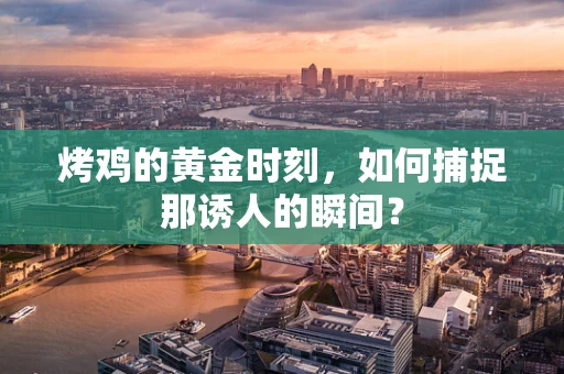 烤鸡的黄金时刻，如何捕捉那诱人的瞬间？