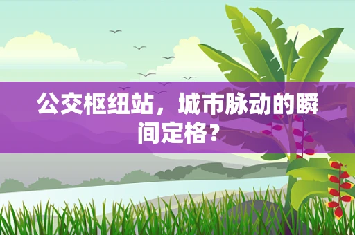 公交枢纽站，城市脉动的瞬间定格？