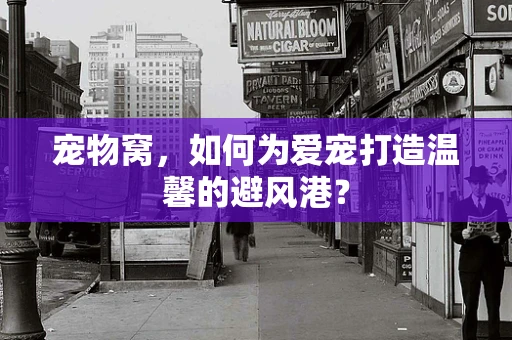 宠物窝，如何为爱宠打造温馨的避风港？