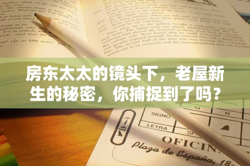 房东太太的镜头下，老屋新生的秘密，你捕捉到了吗？