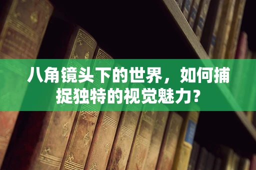 八角镜头下的世界，如何捕捉独特的视觉魅力？