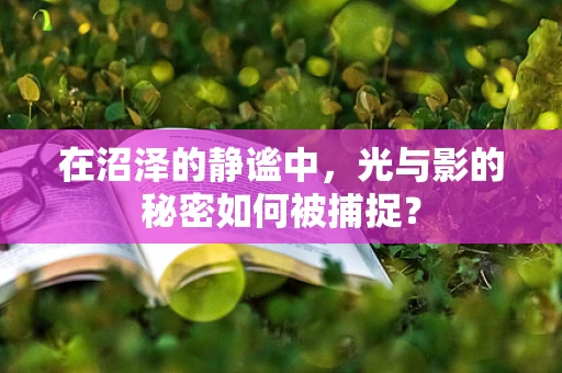 在沼泽的静谧中，光与影的秘密如何被捕捉？