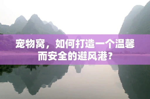 宠物窝，如何打造一个温馨而安全的避风港？