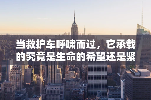 当救护车呼啸而过，它承载的究竟是生命的希望还是紧急的挑战？