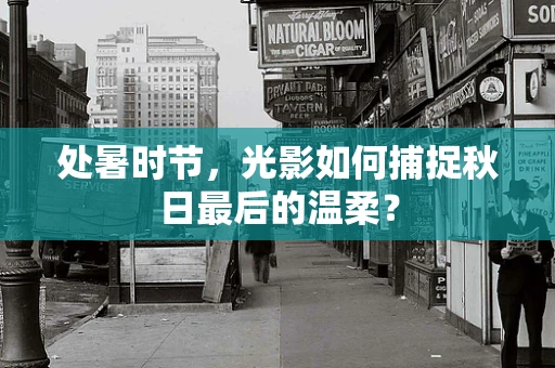 处暑时节，光影如何捕捉秋日最后的温柔？