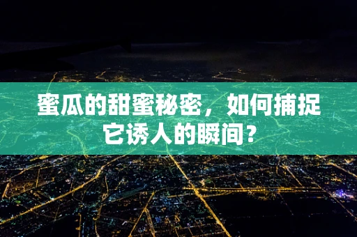 蜜瓜的甜蜜秘密，如何捕捉它诱人的瞬间？