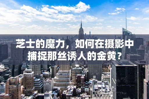 芝士的魔力，如何在摄影中捕捉那丝诱人的金黄？