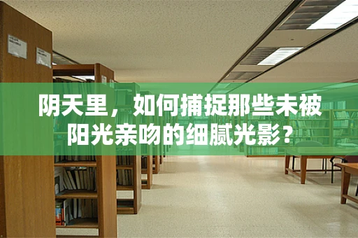 阴天里，如何捕捉那些未被阳光亲吻的细腻光影？