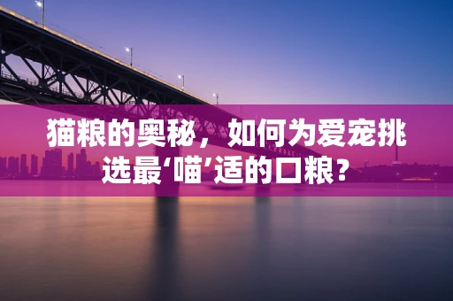 猫粮的奥秘，如何为爱宠挑选最‘喵’适的口粮？