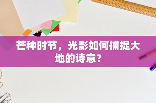 芒种时节，光影如何捕捉大地的诗意？