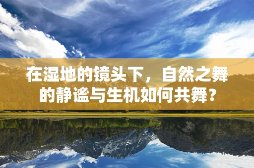 在湿地的镜头下，自然之舞的静谧与生机如何共舞？