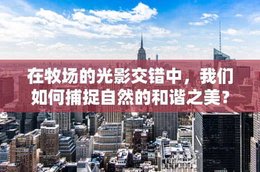 在牧场的光影交错中，我们如何捕捉自然的和谐之美？