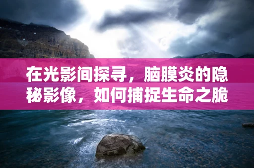 在光影间探寻，脑膜炎的隐秘影像，如何捕捉生命之脆弱？