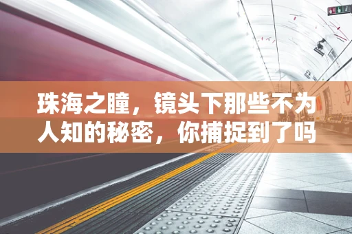 珠海之瞳，镜头下那些不为人知的秘密，你捕捉到了吗？