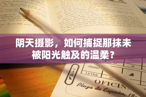 阴天摄影，如何捕捉那抹未被阳光触及的温柔？