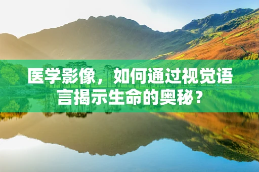 医学影像，如何通过视觉语言揭示生命的奥秘？