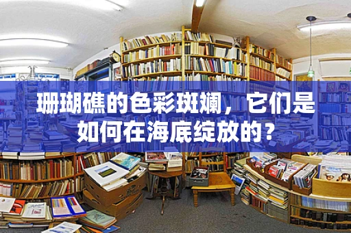 珊瑚礁的色彩斑斓，它们是如何在海底绽放的？