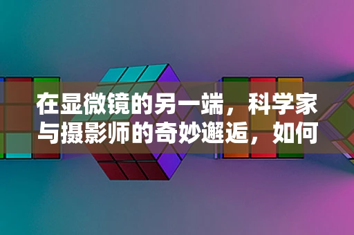 在显微镜的另一端，科学家与摄影师的奇妙邂逅，如何捕捉微观世界的奥秘？