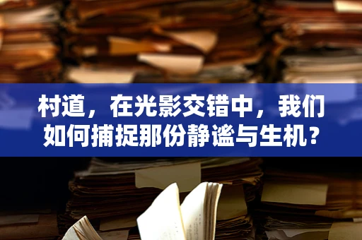 村道，在光影交错中，我们如何捕捉那份静谧与生机？