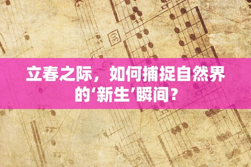 立春之际，如何捕捉自然界的‘新生’瞬间？