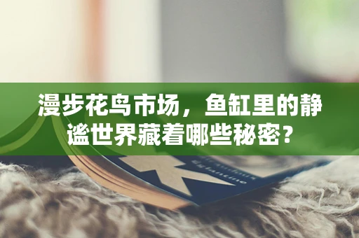 漫步花鸟市场，鱼缸里的静谧世界藏着哪些秘密？