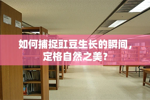 如何捕捉豇豆生长的瞬间，定格自然之美？