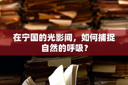 在宁国的光影间，如何捕捉自然的呼吸？