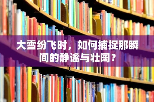 大雪纷飞时，如何捕捉那瞬间的静谧与壮阔？