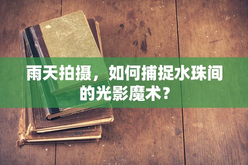 雨天拍摄，如何捕捉水珠间的光影魔术？