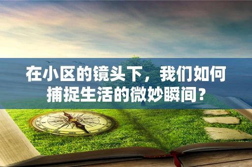 在小区的镜头下，我们如何捕捉生活的微妙瞬间？