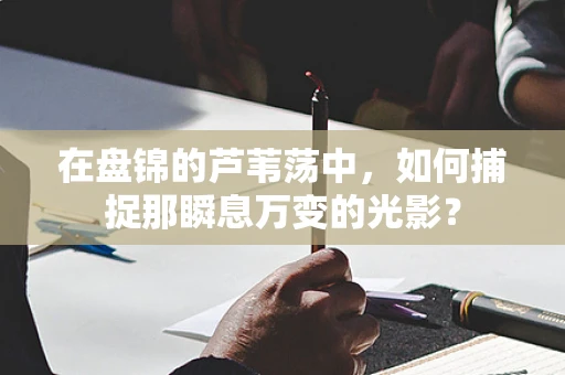 在盘锦的芦苇荡中，如何捕捉那瞬息万变的光影？