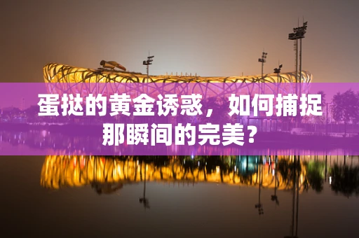 蛋挞的黄金诱惑，如何捕捉那瞬间的完美？