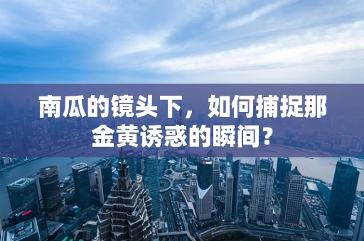 南瓜的镜头下，如何捕捉那金黄诱惑的瞬间？