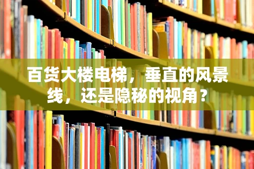 百货大楼电梯，垂直的风景线，还是隐秘的视角？