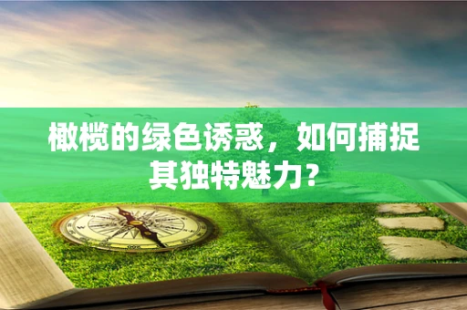 橄榄的绿色诱惑，如何捕捉其独特魅力？