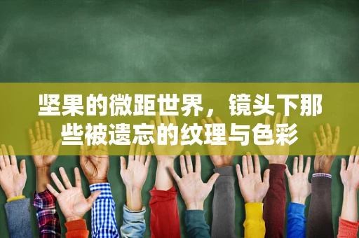 坚果的微距世界，镜头下那些被遗忘的纹理与色彩