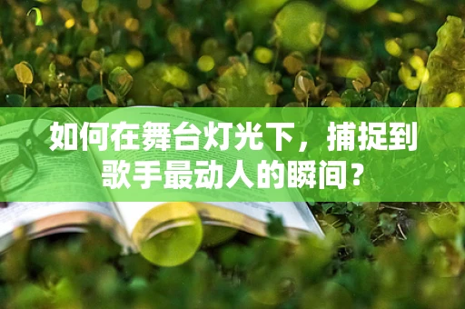 如何在舞台灯光下，捕捉到歌手最动人的瞬间？