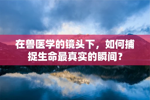 在兽医学的镜头下，如何捕捉生命最真实的瞬间？