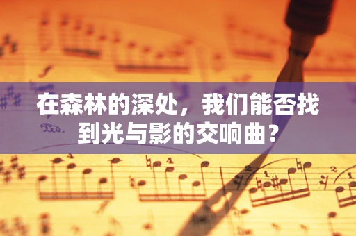 在森林的深处，我们能否找到光与影的交响曲？