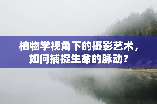 植物学视角下的摄影艺术，如何捕捉生命的脉动？