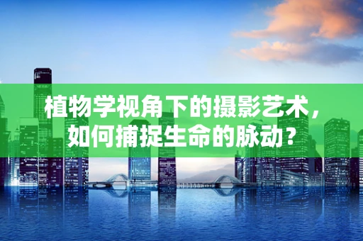 植物学视角下的摄影艺术，如何捕捉生命的脉动？