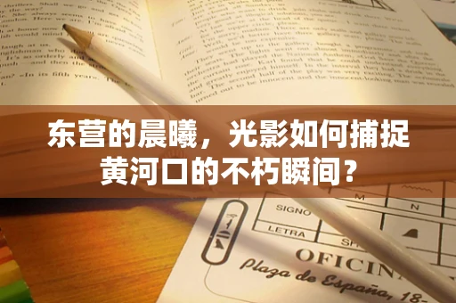 东营的晨曦，光影如何捕捉黄河口的不朽瞬间？